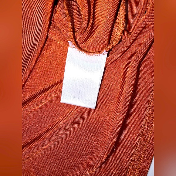 LeLis Collection Gold Bronze Lightweight Long Sleeve Blouse Size Large - Picture 5 of 11